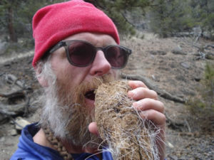 Have a good nutrition plan, don't expect to always find food along the trail. Tom enjoys a vegetarian snack of Elk cud.